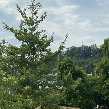 Riverside Wallbach Appartement *
